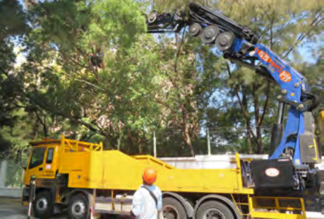 tree-felling-grapplers.png